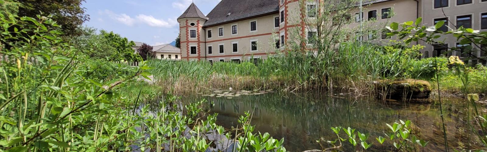 PHOTO-2022-05-23-15-46-55