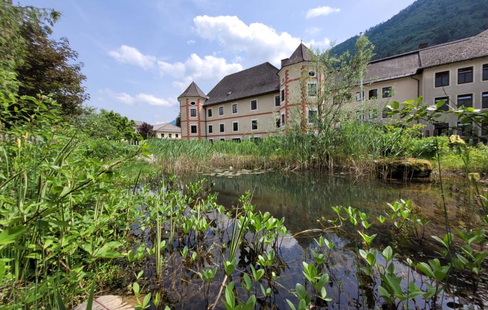 PHOTO-2022-05-23-15-46-55