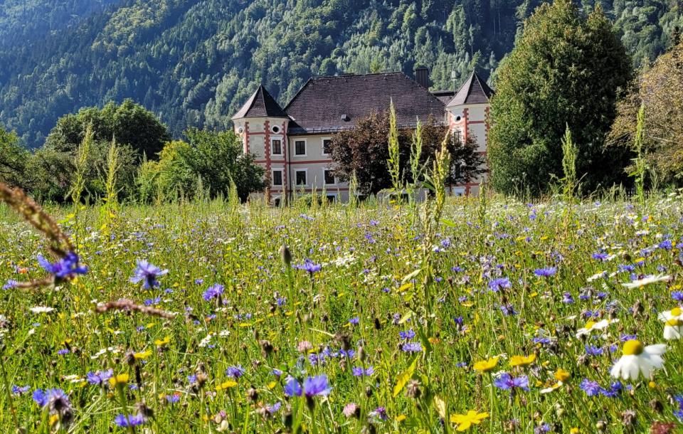 PHOTO-2022-08-30-21-59-52